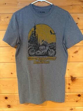 Harley-Davidson Men's Gray Graphic T-Shirt